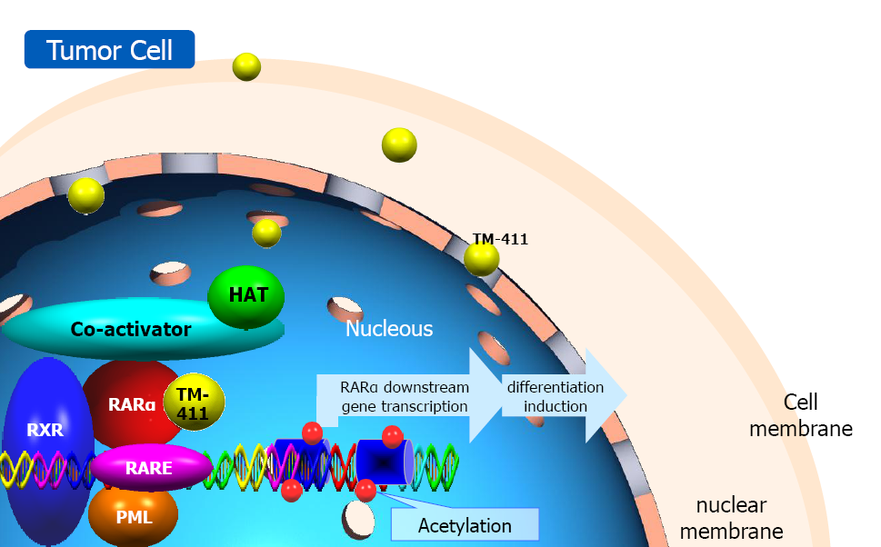 Mechanisms of Action